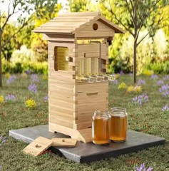 Auto Shed Full Set 10 X Beehive Honey Hive Frame +Mini Beekeeping Brood Box
