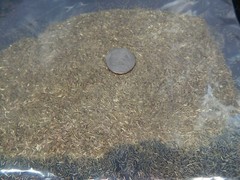 Brass Shavings 15 oz chips Fine for craft Orgone Organite Metal Healing turnings