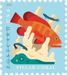 United States Postal Service Coral Reefs Postcard 5 Sheets Of 20 First Class