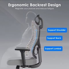 Ergonomic Mesh Office/Desk Chair w/ Adjustable Headrest & Lumbar, Gray/Black