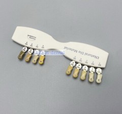 1X Dental IPS Natural Die Material Shade Guide Ivoclar Vivadent ND1-9 Abutment
