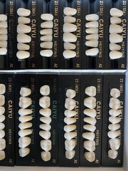 3 Complete Sets Acrylic Denture Teeth A1 A2 A3 A3.5 S M L X-L 84 In BOX