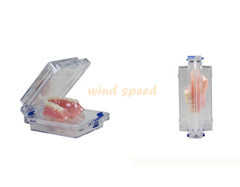 10x Denture False Inlay Teeth Membrane Case Hinged Display Jewelry Box 10x10x4cm