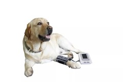 CONTEC08A-VET Veterinary Blood Pressure Monitor sphygmomanometer NIBP PCsoftware