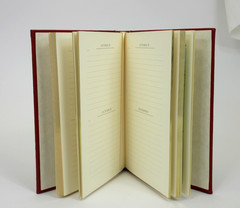 Personal Record: A Lifetime Memoir 8″ Goatskin Leather Journal Graphic Image