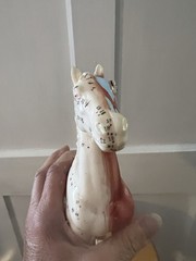 Horse Anatomical Teaching Model w/ Muscle Detail & Labeled Points on Wood Base