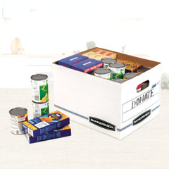 Bankers Box Basic Duty Letter/Legal File Storage Box with Lids Stackable 10 Pack