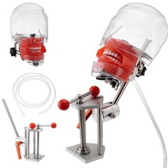 Dental Typodont Teeth Model Dental Simulator Dental Mannequin Implant Head Model