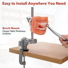 Dental Typodont Teeth Model Dental Simulator Dental Mannequin Implant Head Model