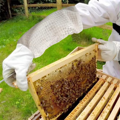 3 Layer Ultra Ventilated bee beekeeping Suit Astronaut Veil w/ Goat Skin Gloves