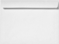 Durable & Reliable 50 Count Bright White 9×12 Booklet Envelopes | Business Use