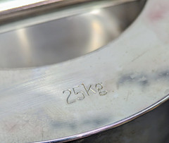 25 kg Calibration Weight