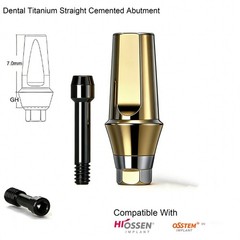 US Dental titanium abutment Compatible Hiossen ET SA Hex Mini/Regular Implants