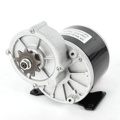 350w 24v 2 Poles Brushed Motor Electric Vehicle Geared Motor Decelerate Motor