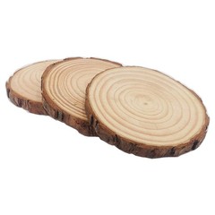 Unfinished Natural Wood Slices 12 Pcs 3.5-4 inch Craft 12