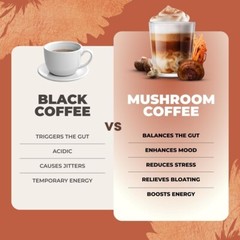 Ryze Mushroom Organic Coffee 2 Pack 30 Servings Per Pack (FREE SHIPPING)