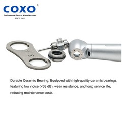 COXO Dental High Speed Fiber Optic Turbine Handpiece KaVo Multiflex LUX Coupling