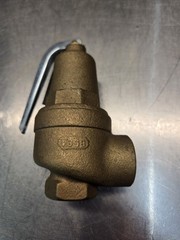 Apollo RVW61 Pressure Relief Valve, 3/4″ FNPT x 1″ FNPT 10-61405 (30 psi)