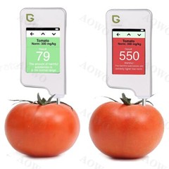 Greentest Eco 4 Nitrate Tester Radiation Geiger Counter English Dosimeter