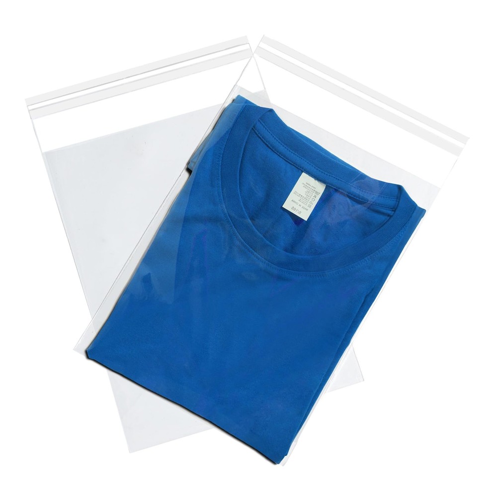 LOOKSGO 100 Count 9×12 Inch Clear Poly Inch, (Pack of 100)