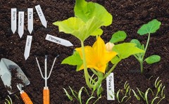2 Pack Garden Marker Pen Permanent Markers Black (UV Fade Resistant Marker Pens