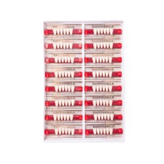 1Pks Dental Acrylic Resin Teeth Denture Replacement’s Upper Lower Shade A1/A2/A3