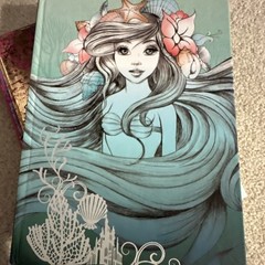Disney Ariel & Tinker Bell Illustrated Blank Journals Cardboard Cover