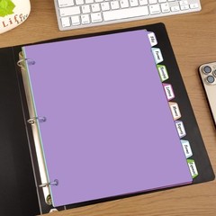 16Pcs/2 Set Binder Dividers with Tabs, 8 Color Tab for 3 Ring Binder Dividers…