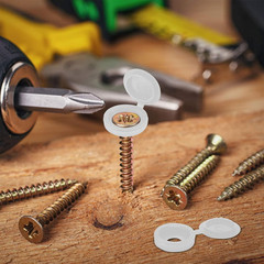 100 Pieces Hinged Screw Cover Caps Plastic Shutter Fold Screw Snap Covers Washer