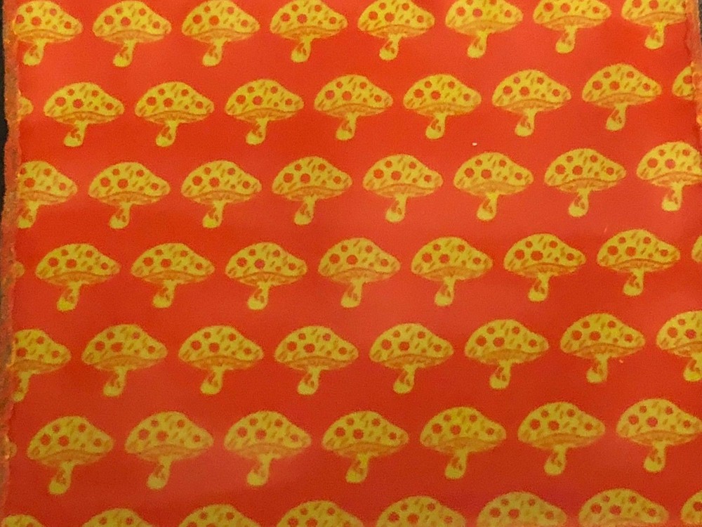 100 SMALL BAGGIES 1515 1.5′ X 1.5′ MINI Resealable POLY BAGS MUSHROOM