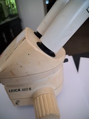 Leica MS5 Stereoscope