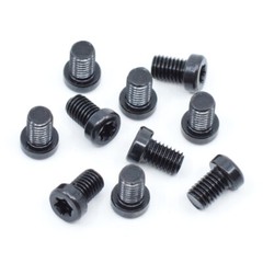 Black Oxide Torx Star Drive Fillister & Weaver Oval Head Gun Screws (10 pcs.)