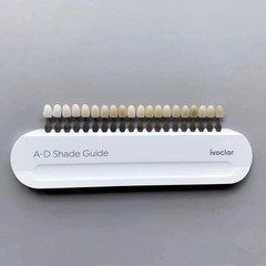 20Color A-D Shade Guide Ivoclar Vivadent Dental Shade Guide A-D 20 IPS Porcelain