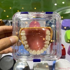 10x Denture False Inlay Teeth Membrane Case Hinged Display Jewelry Box 10x10x4cm