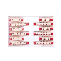 Dental Denture Teeth Acrylic Resin Teeth Full Set Upper Lower A1/A2/A3 3/8/16Set