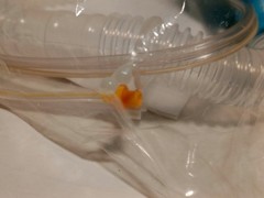 Vyaire 18221-101 Patient Circuit 22mm SPU EnVe w Water Trap Rx Only