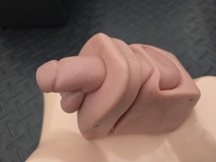 Pro Delphus Surgical Simulator For Urologic Procedures For Male & Female Anatomy