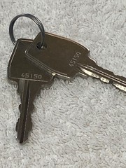 Wascomat/Electrolux Dryer Keys. #45150. Brand New