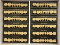 HUGE KAILI Synthetic Polymer False Teeth Lower Posterior SZ32 Full Box 12 sheets