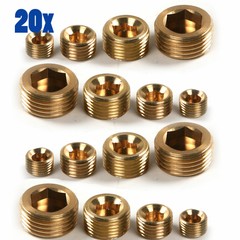 20Pcs Brass 1/8″ 1/4″ 3/8″ 1/2″ NPT Brass Internal Hex Thread Socket Pipe Plug