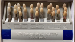VITA Resin Dental Toothguide 3D Master 29 Colors With Bleached Shade Guide