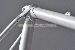 25g Sparkling White-Lite Silver metallic auto paint single stage