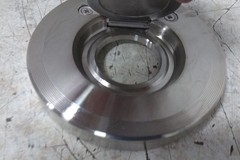 Champion 3SDS15-SSP-R 3 In Pipe Size Flange Connection Check Valve