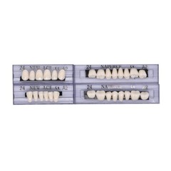 840Pcs Dental Acrylic Resin Denture 24# A2 Full Set Teeth Upper Lower Shade HOT
