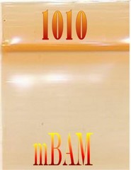 100 PACK DARK YELLOW 1010 Apple Zip Baggies 1.0X1.0″ Mini Bags COLOR