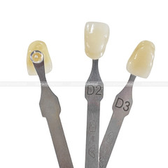 USA Dental Teeth Shade Guide Porcelain 20 Color A-D Tooth 4 Bleach Vivadent