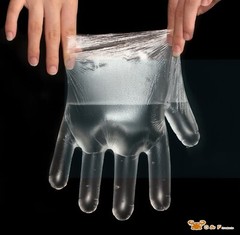 G & F Products Plastic Food service Gloves Ideal for Food Handling, 1000 Pieces