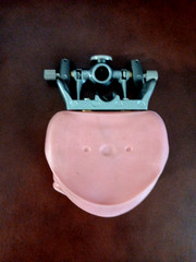 ModuPRO Dental Hygiene Plus MP-DH520_O ACADENTAL Typodont Dental Student Model