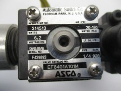 ASCO EF8401A101M 20-150PSI 110/120V 1/4″ NSNP