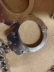Peerless Model 700CTC-32 Dual Restraint Transport Chains